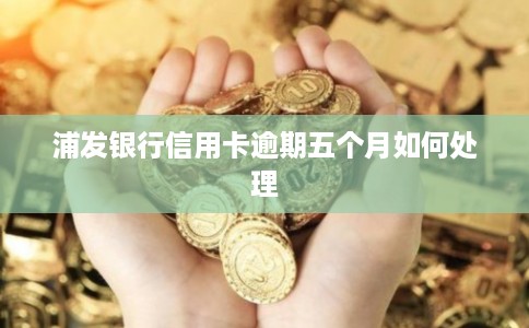 浦发银行信用卡逾期五个月如何处理