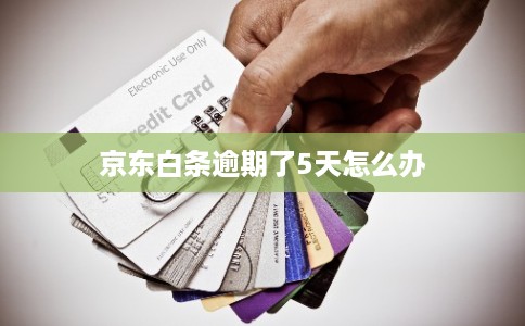 京东白条逾期了5天怎么办
