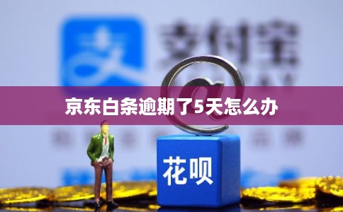 京东白条逾期了5天怎么办