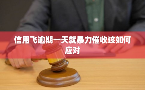 信用飞逾期一天就暴力催收该如何应对
