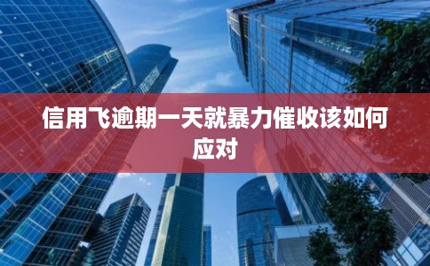 信用飞逾期一天就暴力催收该如何应对