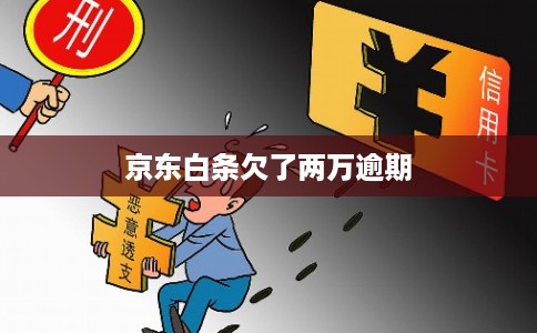京东白条欠了两万逾期