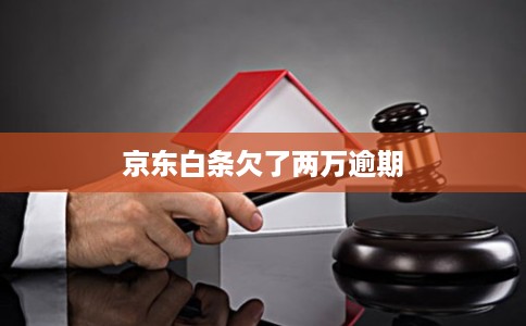 京东白条欠了两万逾期