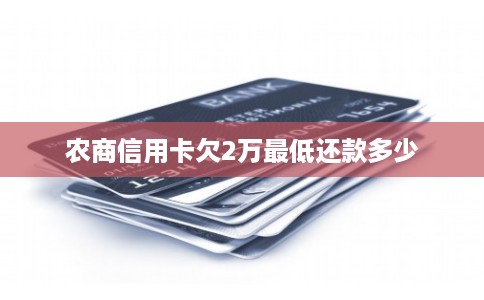 农商信用卡欠2万最低还款多少
