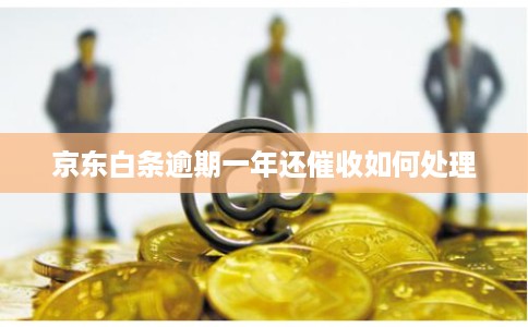 京东白条逾期一年还催收如何处理 京东白条逾期一年还催收如何处理