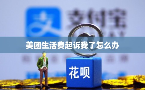 美团生活费起诉我了怎么办