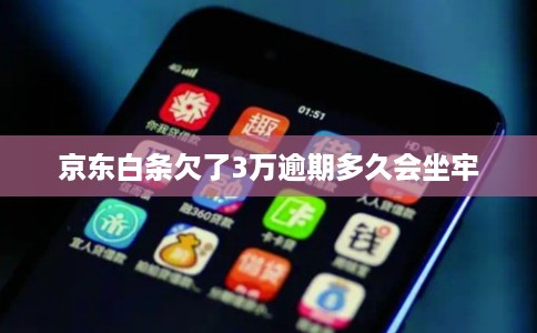 京东白条欠了3万逾期多久会坐牢