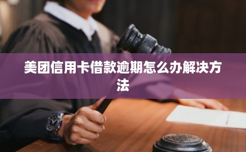 美团信用卡借款逾期怎么办解决方法