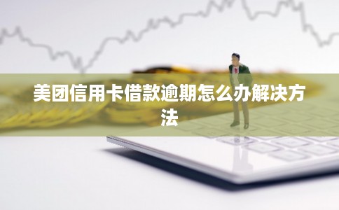 美团信用卡借款逾期怎么办解决方法