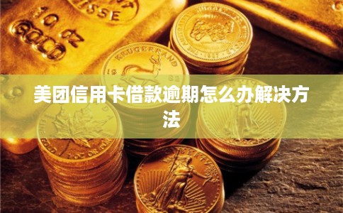 美团信用卡借款逾期怎么办解决方法