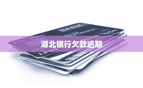 湖北银行欠款逾期 湖北银行欠款逾期