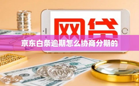 京东白条逾期怎么协商分期的