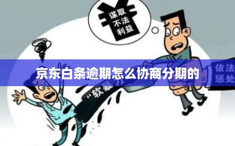京东白条逾期怎么协商分期的