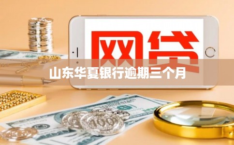 山东华夏银行逾期三个月