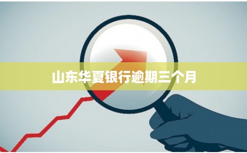 山东华夏银行逾期三个月