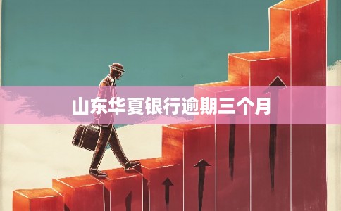 山东华夏银行逾期三个月