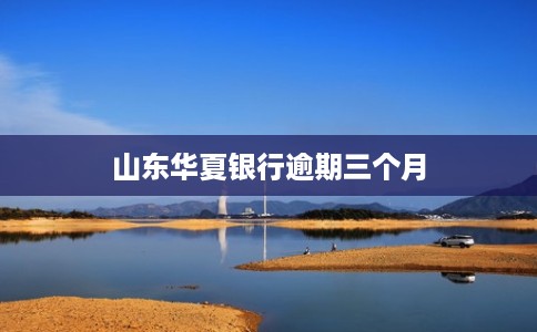 山东华夏银行逾期三个月