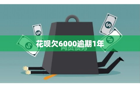 花呗欠6000逾期1年