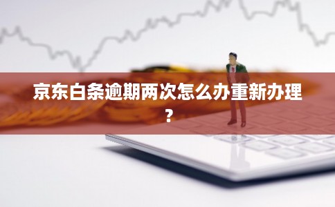 京东白条逾期两次怎么办重新办理? 京东白条逾期两次怎么办重新办理?