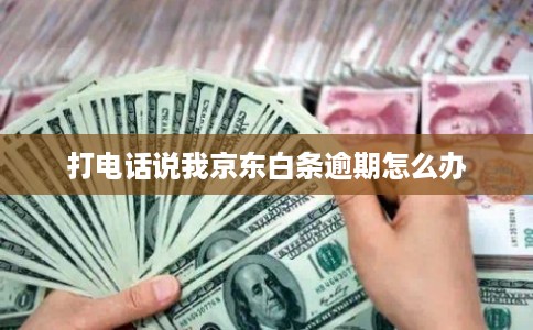 打电话说我京东白条逾期怎么办 打电话说我京东白条逾期怎么办