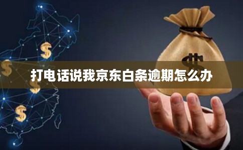 打电话说我京东白条逾期怎么办