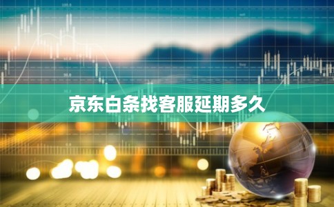 京东白条找客服延期多久