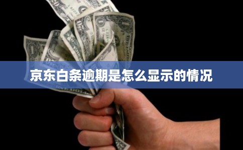 京东白条逾期是怎么显示的情况 京东白条逾期是怎么显示的情况