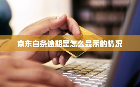 京东白条逾期是怎么显示的情况 京东白条逾期是怎么显示的情况
