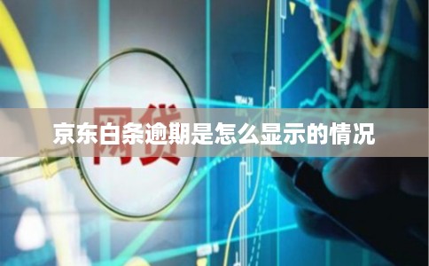 京东白条逾期是怎么显示的情况 京东白条逾期是怎么显示的情况