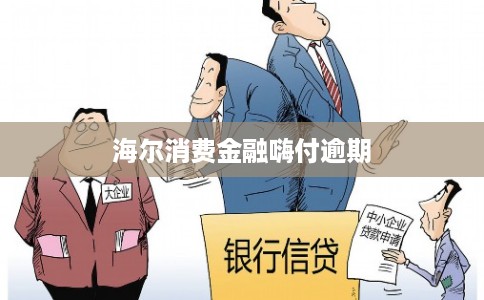海尔消费金融嗨付逾期