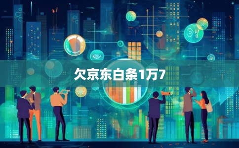 欠京东白条1万7 欠京东白条1万7