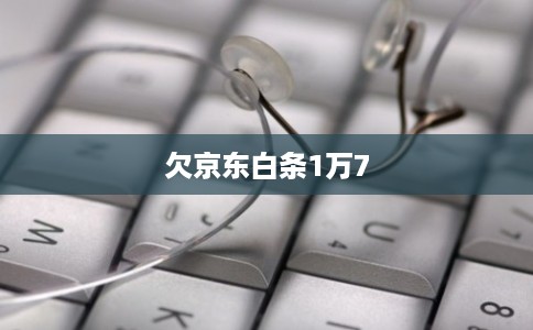 欠京东白条1万7 欠京东白条1万7