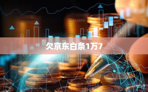 欠京东白条1万7 欠京东白条1万7