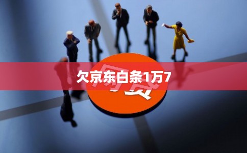欠京东白条1万7 欠京东白条1万7