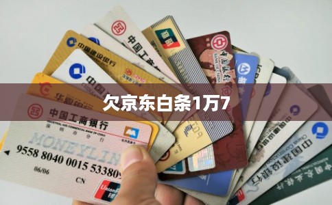 欠京东白条1万7 欠京东白条1万7