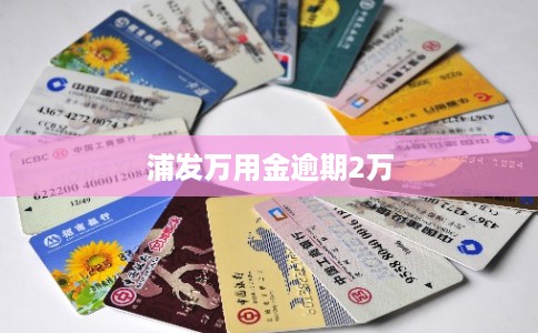 浦发万用金逾期2万 浦发万用金逾期2万