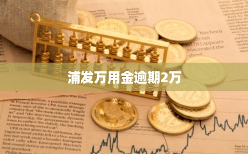 浦发万用金逾期2万 浦发万用金逾期2万