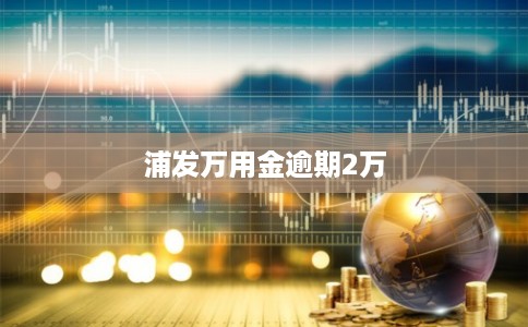 浦发万用金逾期2万