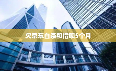 欠京东白条和借呗5个月 欠京东白条和借呗5个月