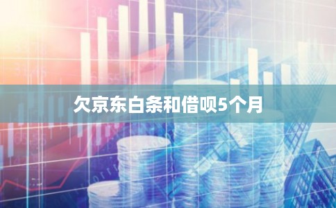 欠京东白条和借呗5个月 欠京东白条和借呗5个月