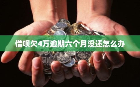 借呗欠4万逾期六个月没还怎么办 借呗欠4万逾期六个月没还怎么办