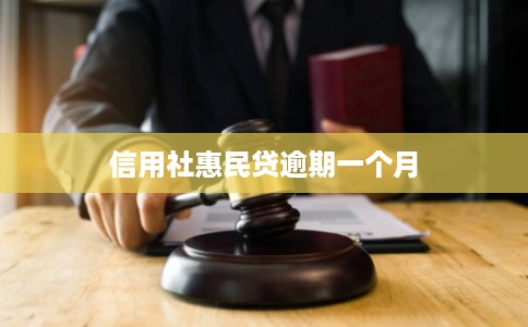 信用社惠民贷逾期一个月 信用社惠民贷逾期一个月