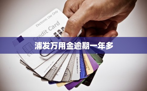 浦发万用金逾期一年多