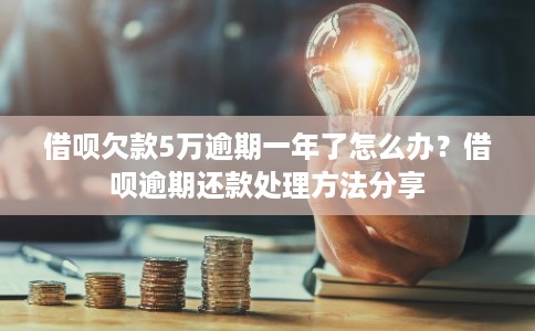借呗欠款5万逾期一年了怎么办?借呗逾期还款处理方法分享 借呗欠款5万逾期一年了怎么办?借呗逾期还款处理方法分享