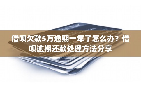 借呗欠款5万逾期一年了怎么办？借呗逾期还款处理方法分享