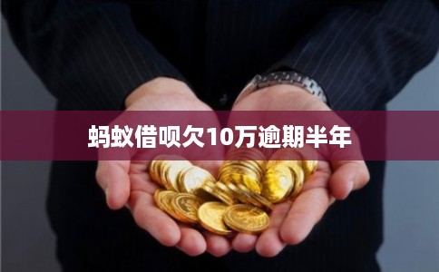 蚂蚁借呗欠10万逾期半年 蚂蚁借呗欠10万逾期半年