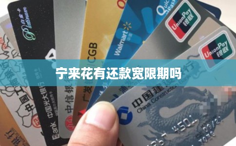 宁来花有还款宽限期吗