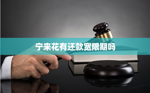 宁来花有还款宽限期吗