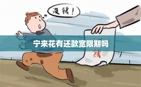 宁来花有还款宽限期吗
