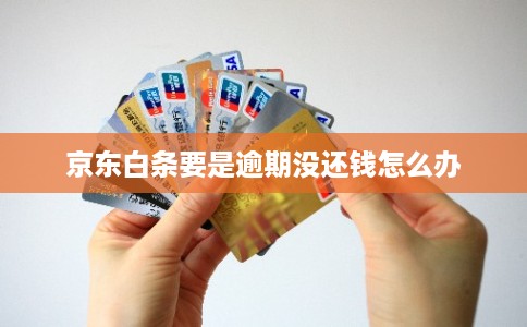 京东白条要是逾期没还钱怎么办 京东白条要是逾期没还钱怎么办